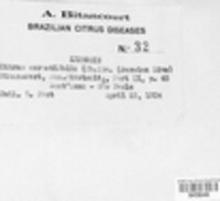 Image Associated With the Occurence